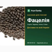Пр0двм нвсіння фвцелії - 30рянв, Алінв, Елікв