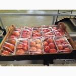 Продам тепличный помидор сорт Болудо