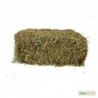 Продам сено люцерны в тюках