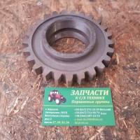 Шестерня ЮМЗ КПП заднего ходо паразитная ЮМЗ-6, Д-65
