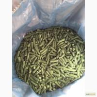 Фасоль стручковая Квасоля стручкова 20-40 1 ґат. ш/з, Україна