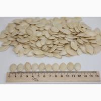 Продам Семена Тыквы