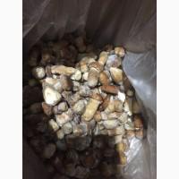 Продам білі гриби