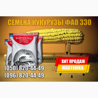 Семена гибрида кукурузы Мартиника ФАО - 330