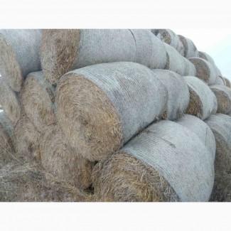 Продажа сіна та соломи в круглих тюках