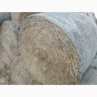 Продажа сіна та соломи в круглих тюках