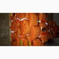 Лук севок.дымка