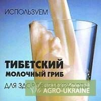 Тибетский молочный гриб