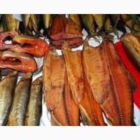 Продам рибну продукцію хк, гк сс