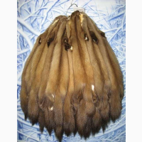 Купуємо хутро куниці, бобра, єнота, кроля, зайця