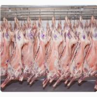 Баранина с Аккредитив на ОАИ