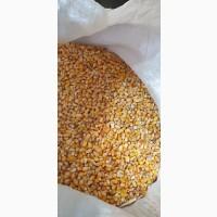 Кукуруза целая и дробленая крупа кукурузная