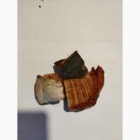 Продам трутовик справжній