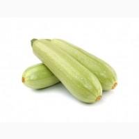 Продам кабачки