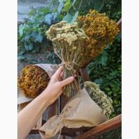 Продам сухой зверобой, тысячелистник (продам сухий звіробій, деревій)