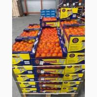 Продаємо мандарин гуртом