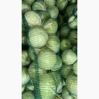 Продам капусту 1 сорту