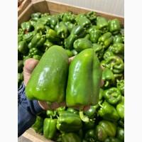 Продам солодкий болгарський перець “зелений»