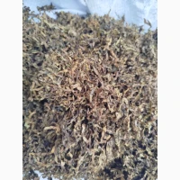 Продам якісний гарний тютюн