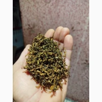 Продам якісний гарний тютюн
