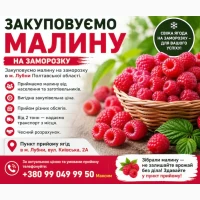 Куплю малину на заморозку