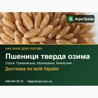 Пр0двм нвсіння т8ерд0ї 03им0ї пшениці - Прив308ськв, Шулиндінкв, 6лиску4ий