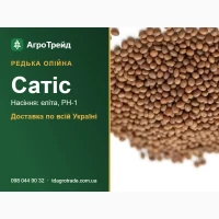 Редька олійна Сатіс: продаж насіння, еліта, РН-1