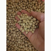 Продам нут продовольственный крупный