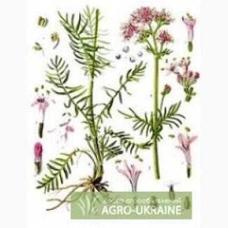 Продам лекарственные травы