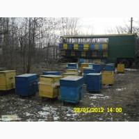 Продами прицеп для пчел