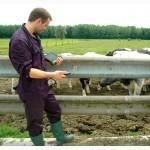 Узи-сканер для ветеринарии RKU-10 (KAIXIN)