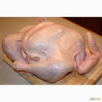 Продам замороженное мясо индюшатины