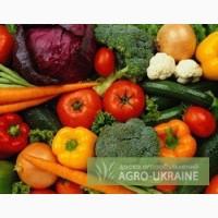 Продам овощи оптом