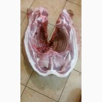Продам сало с беконных пород, шкуру, свинину на кости в шкуре и обрезную