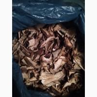 Продам білі сухі гриби