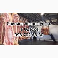 Свинина свежий забой цена