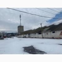 Продается элеваторный комплекс. Цена договорная