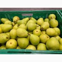 Продам грушу Олександр Лукас