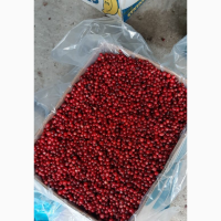 Продам журавлину (клюкву)