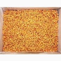 Продам Облепиху 40 тонн, замороженную