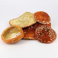 Продам червоний мухомор 2024 пантерний і королівський