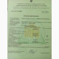 Посівний матеріал насіння гарбуза