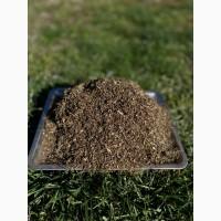 Опт и розница. Вирджиния, вирджиния голд, кемел, винстон, честер, мальборо, давидоф