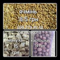 Ячмінь макуха картопля сіль