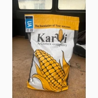 Продам насіння Кукурудзи Karvi Фао 270/320