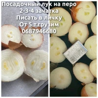 Продам лук на выгонку зелёного пера