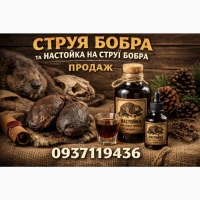 Настойка на струї бобра струя бобра