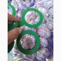 Продам Чеснок сорт Любаша 3т