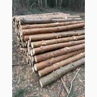 Продам дрова паливні, Чернігівська область