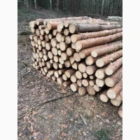 Продам дрова паливні, Чернігівська область